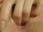 क्रीम में तंग बिल्ली